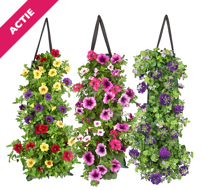 Perkgoed in wandhanger