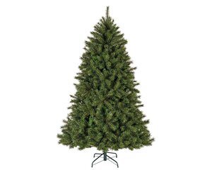 Malmö spruce pine 210