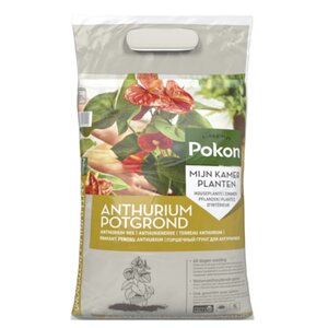 Pokon anthurium 5L